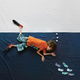 Illustration for article titled This Wonderful Photographer Gave a Boy Suffering with Muscular Dystrophy a Chance to Live Out His Dreams